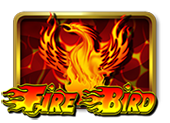 Fire Bird