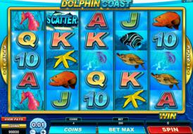 dolphin coast