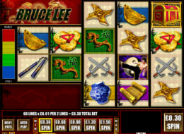 brucelee4WMS