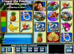 fortunesofthecaribbean4WMS