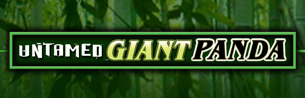 untamed giant panda 1