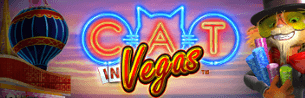 Cat in Vegas