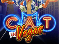 cat in vegas 2