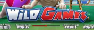 wildgames