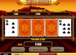 wildspirit4