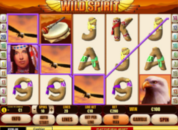 wildspirit5