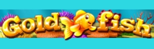 Gold Fish